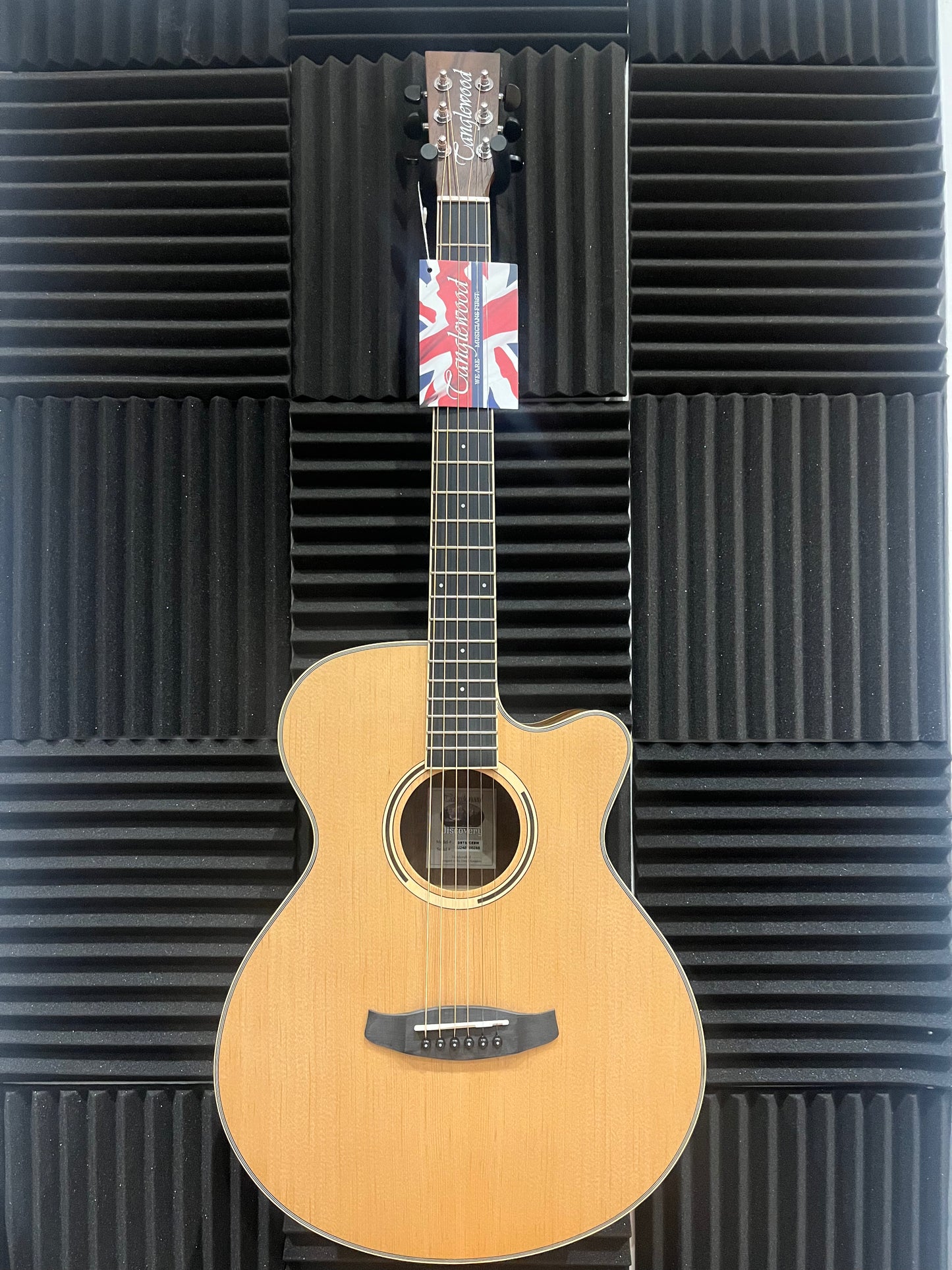 Tanglewood Discovery Series Electro Acoustic Guitar