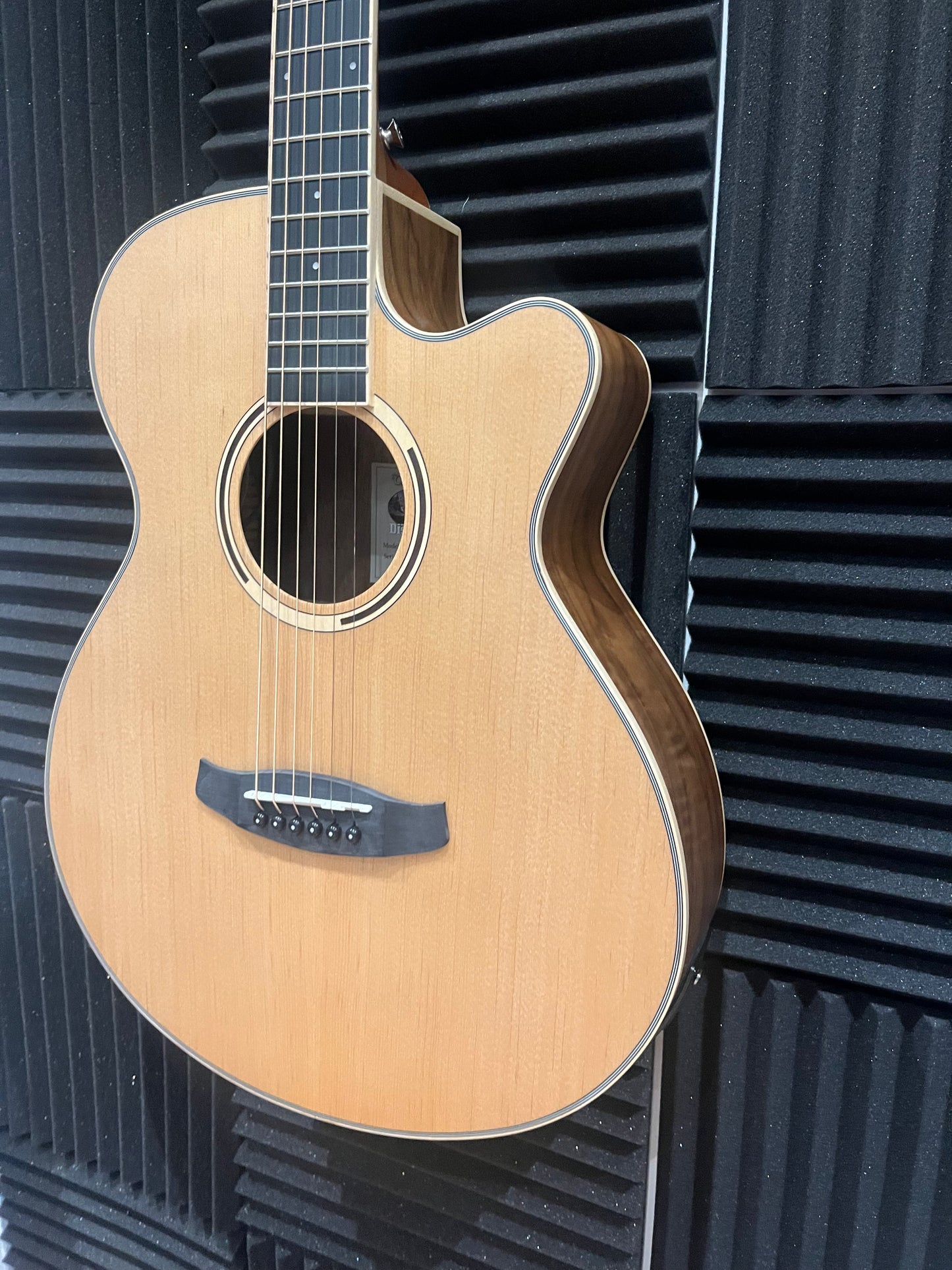 Tanglewood Discovery Series Electro Acoustic Guitar