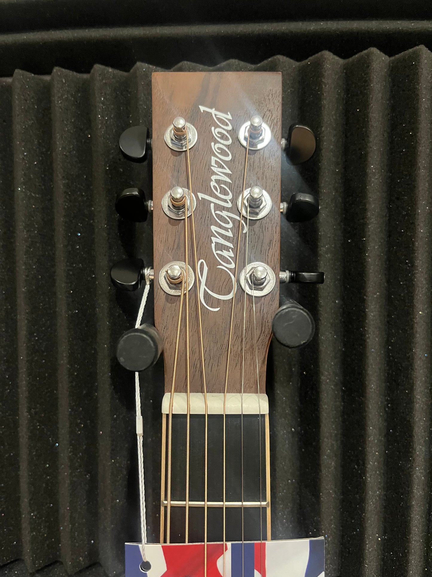 Tanglewood Discovery Series Electro Acoustic Guitar