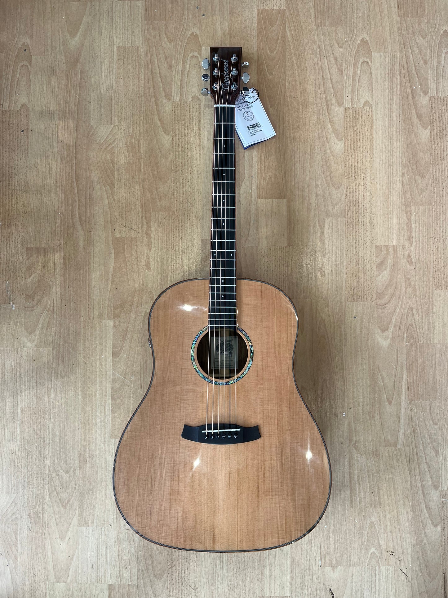 Tanglewood Smart Series Rosewood Acoustic Guitar TRS5SE