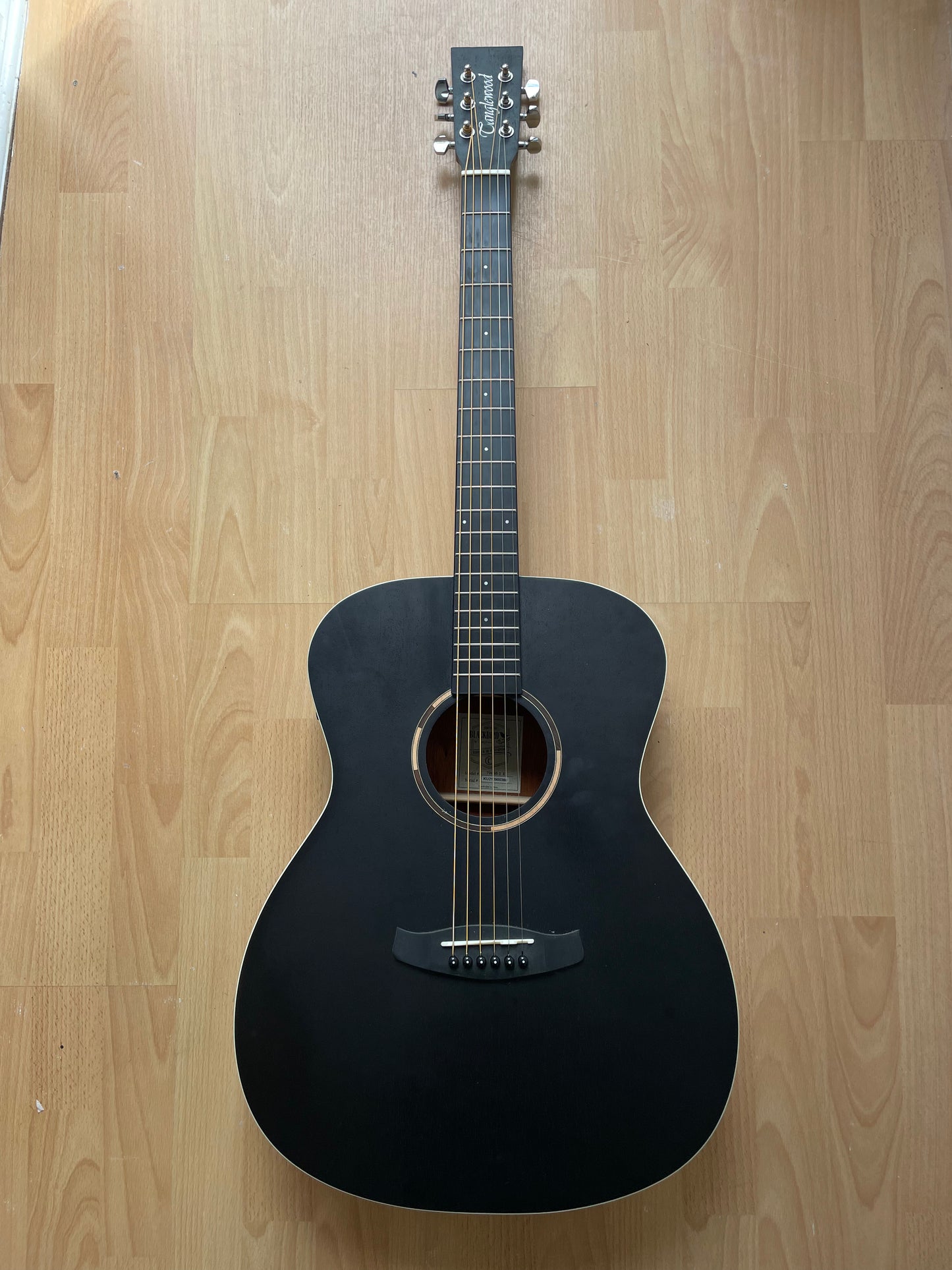 Electro - Acoustic Blackbird by Tanglewood