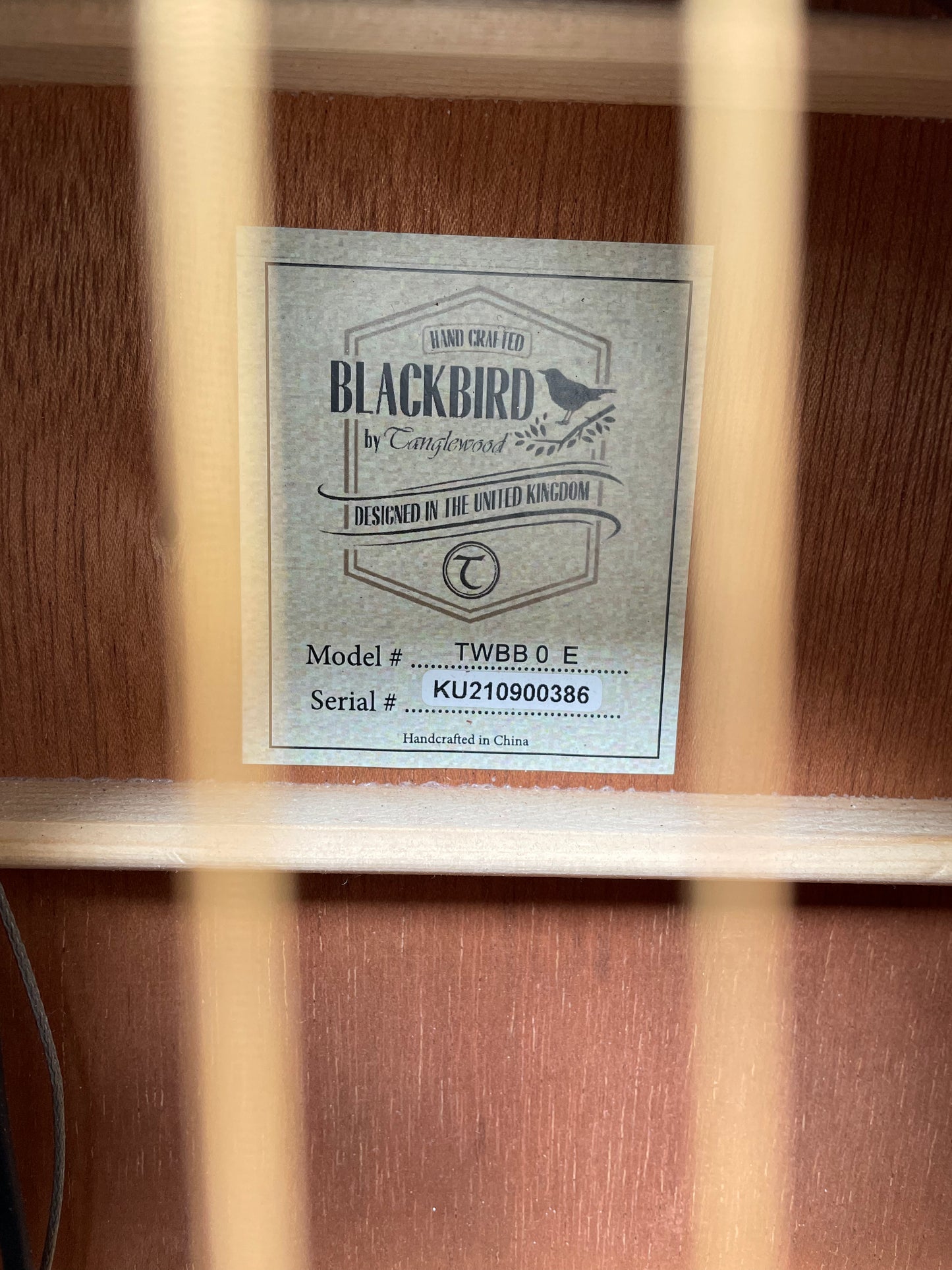Electro - Acoustic Blackbird by Tanglewood