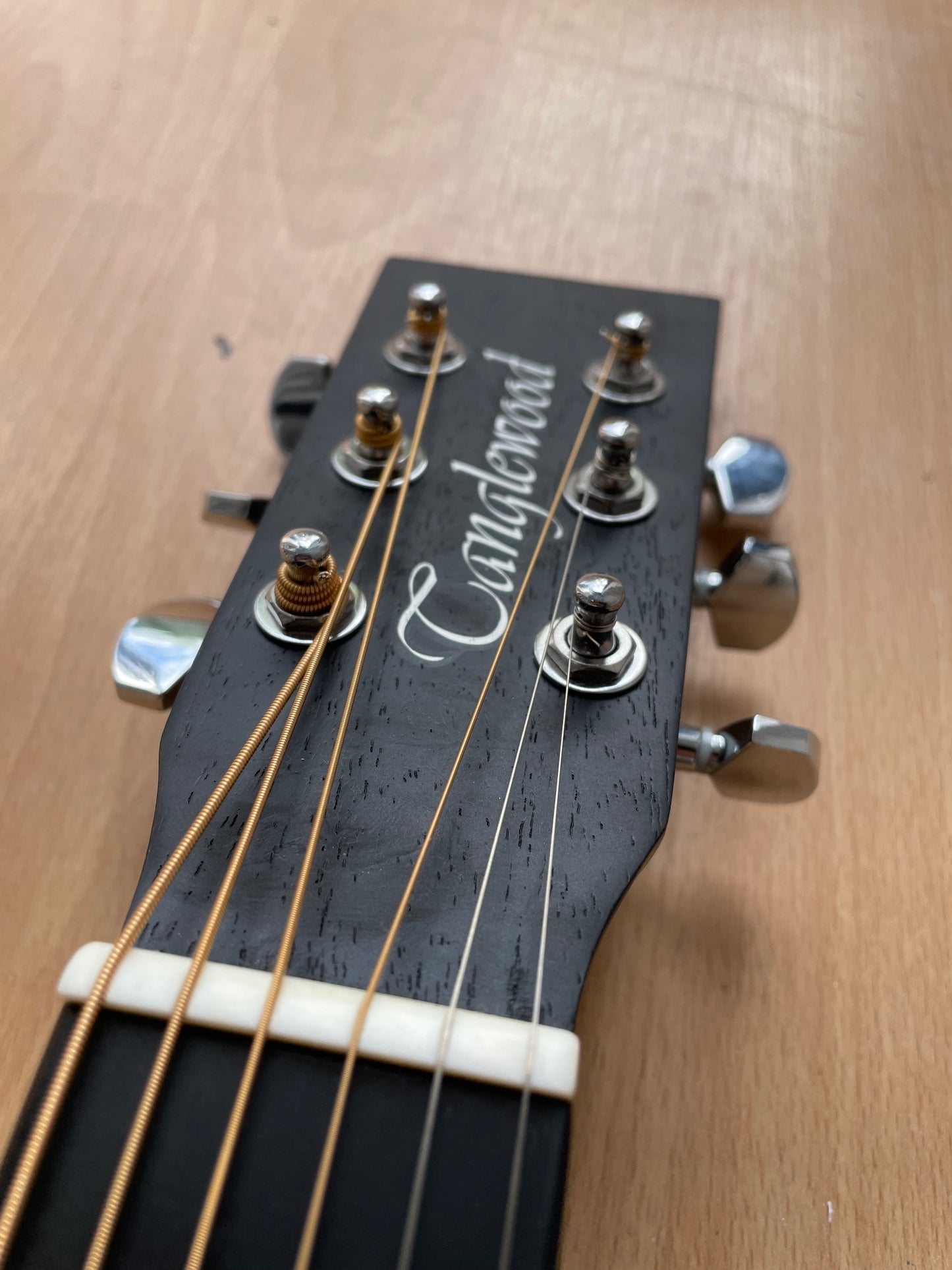 Electro - Acoustic Blackbird by Tanglewood