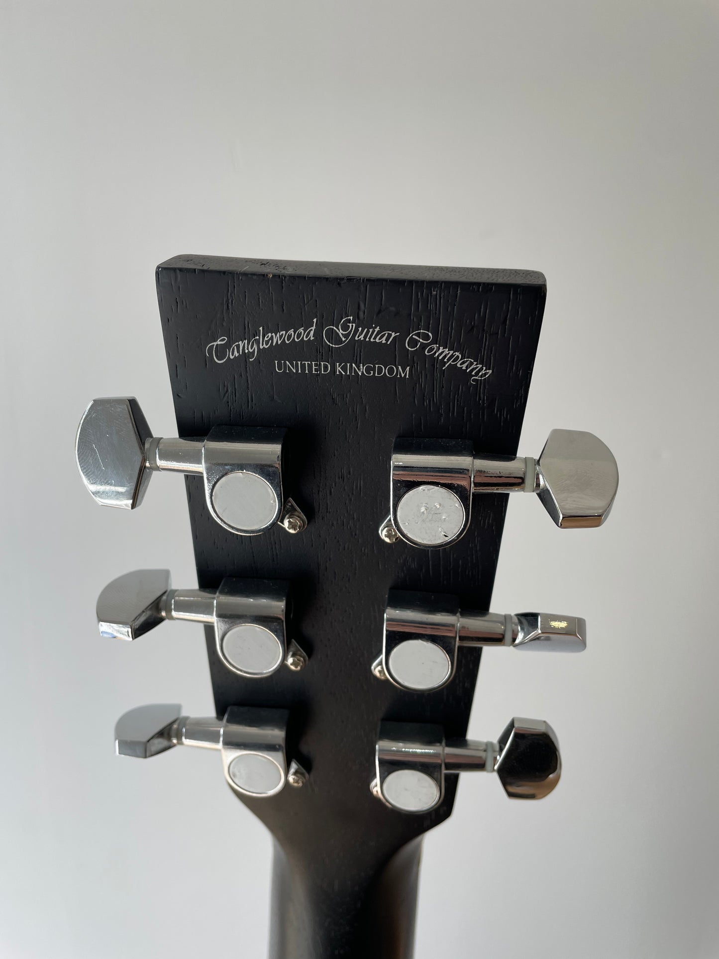 Electro - Acoustic Blackbird by Tanglewood