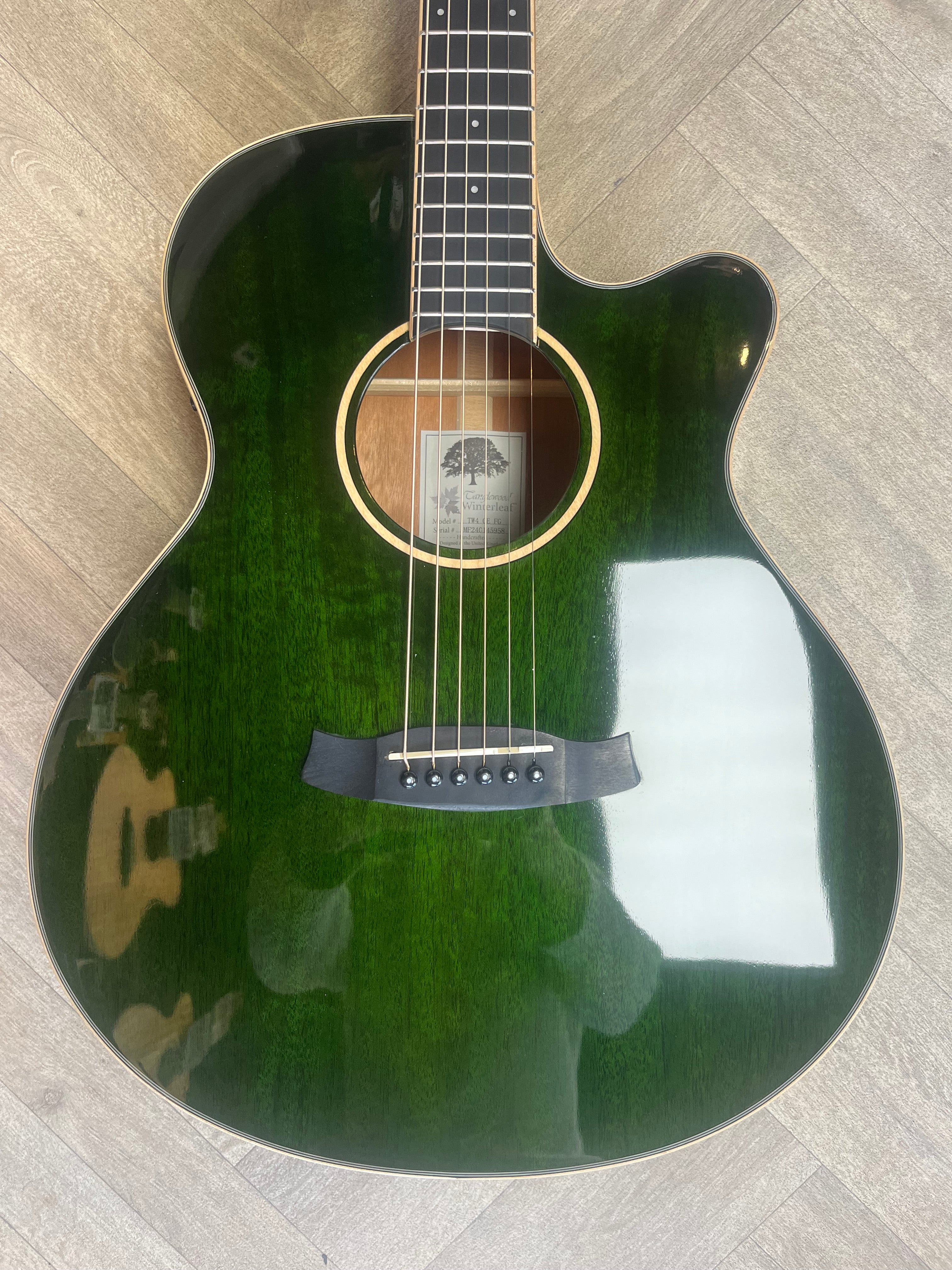 Winterleaf Series - Green Gloss - Electro Acoustic Guitar