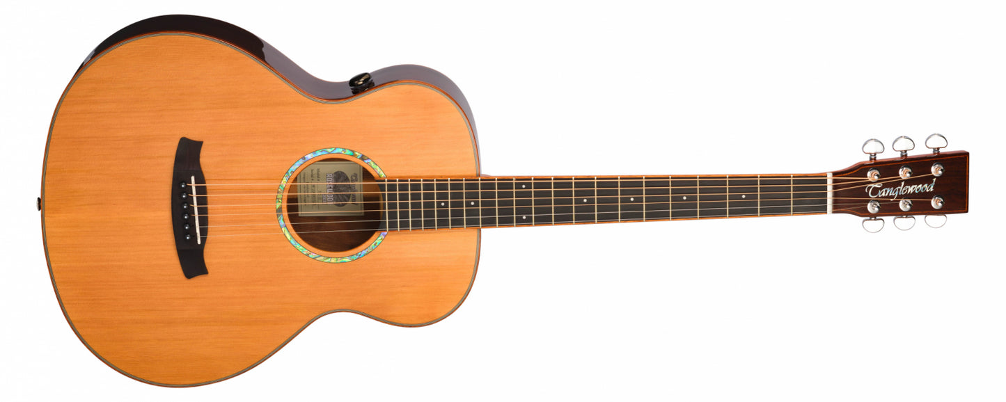 Tanglewood Smart Series Rosewood Acoustic Guitar TRS1E