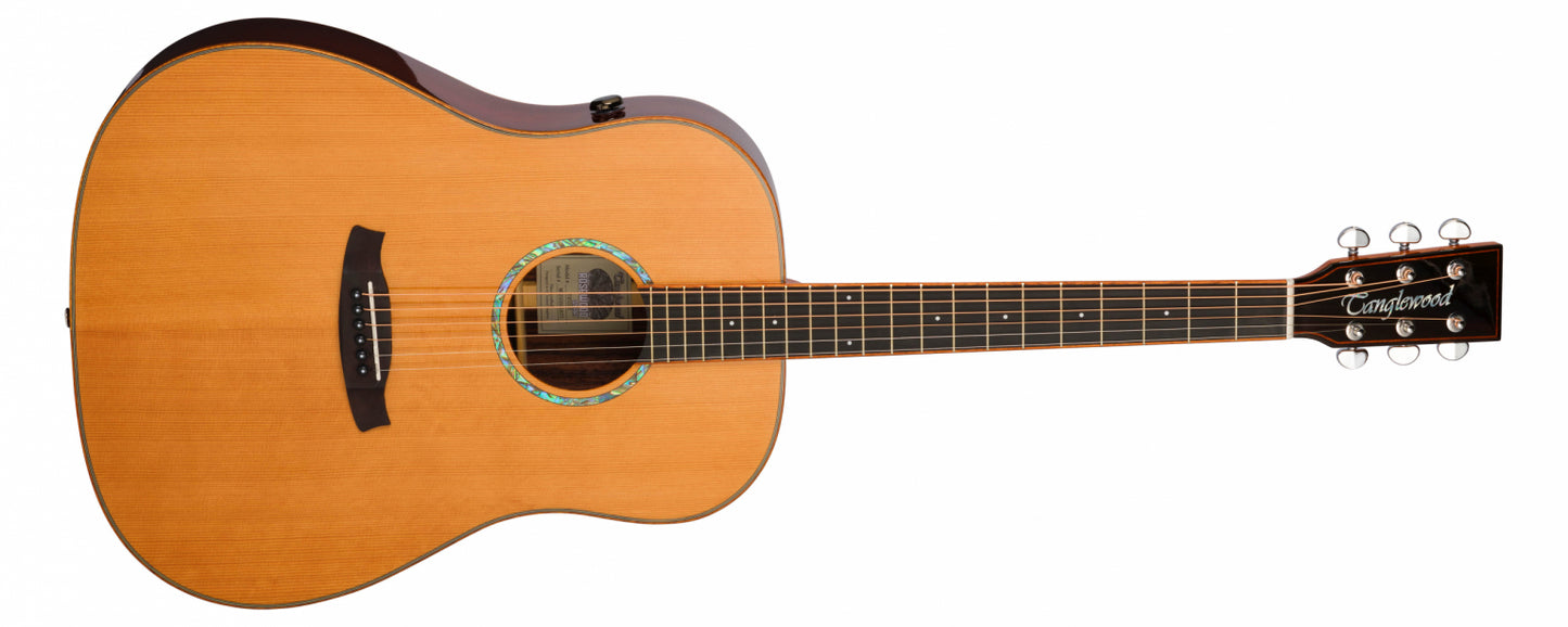 Tanglewood Smart Series Rosewood Acoustic Guitar TRS5SE