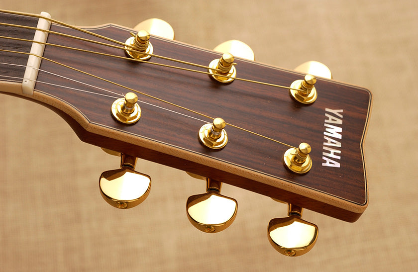 Strings 101 - Guitars
