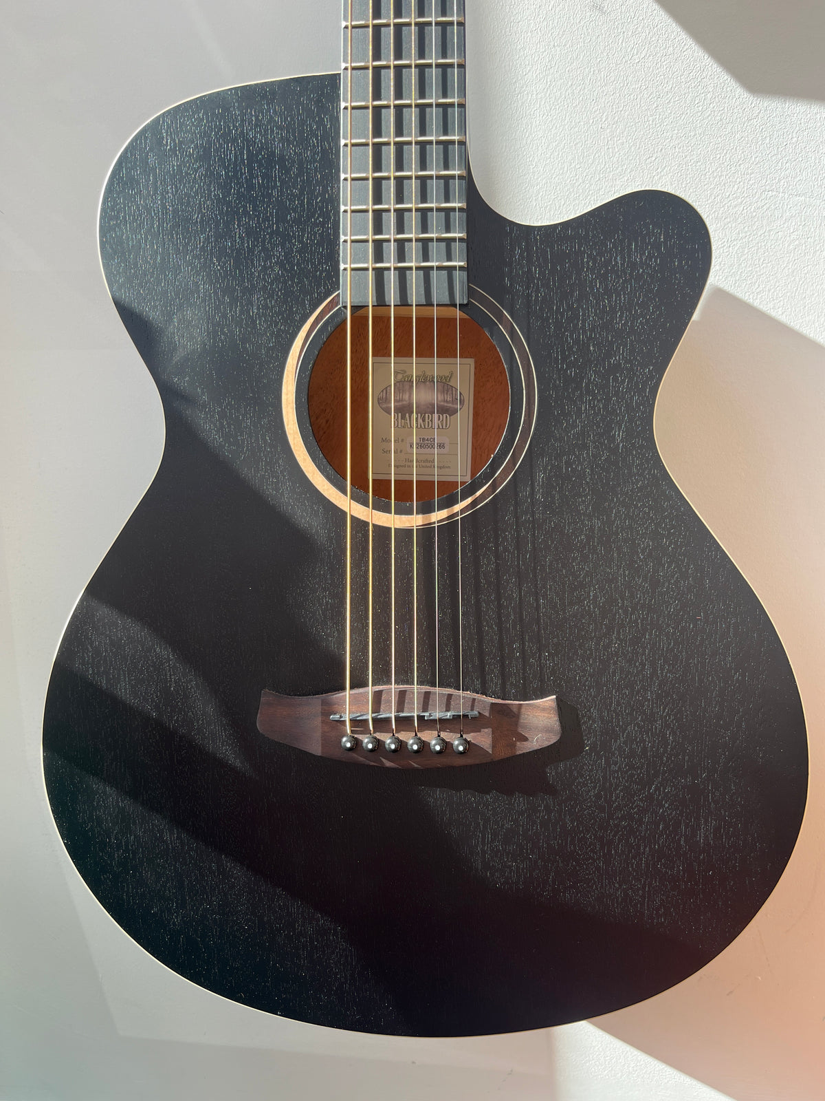 Tanglewood Blackbird TB4CE Acoustic Guitar