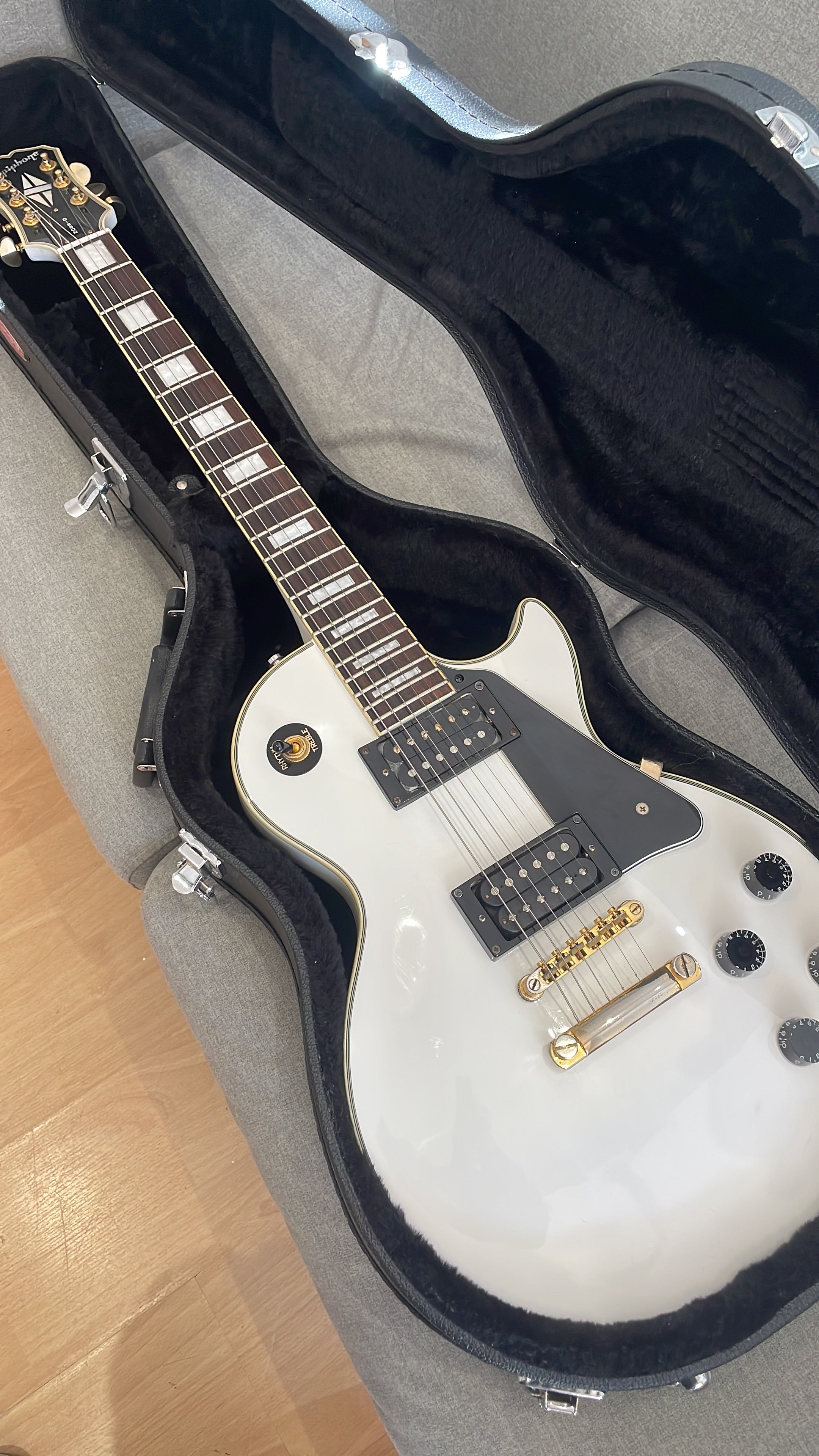 Stagg hard Case