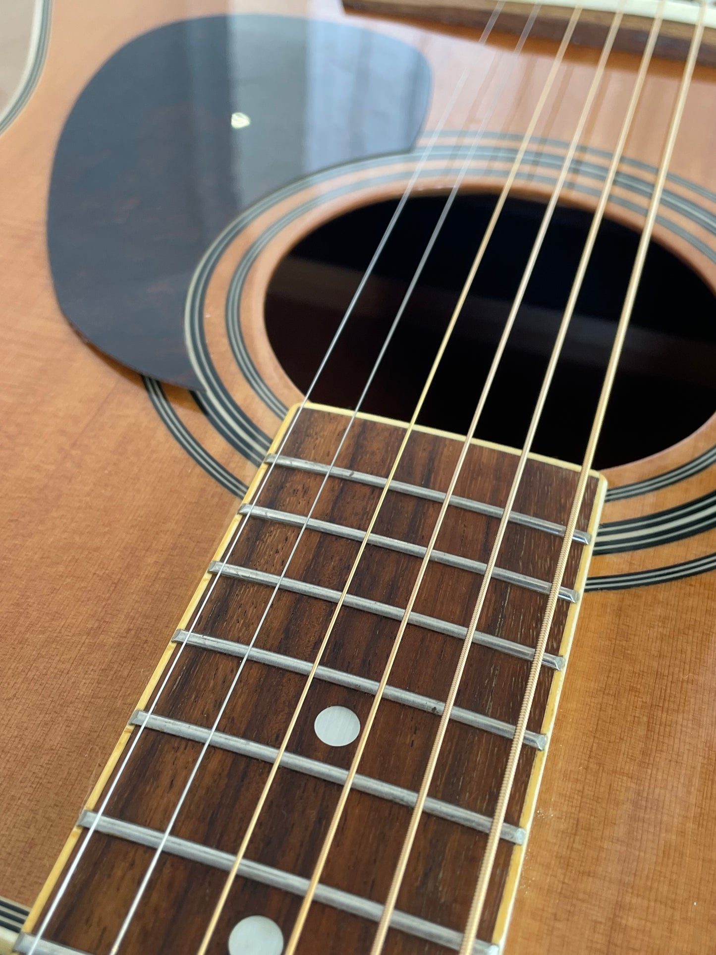 VINTAGE Acoustic Guitar