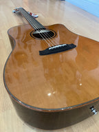 Tanglewood Smart Series Rosewood Acoustic Guitar LIMITED EDITION - Dreadnought cutaway