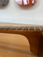 Tanglewood Smart Series Rosewood Acoustic Guitar LIMITED EDITION - Dreadnought cutaway