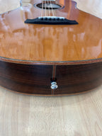 Tanglewood Smart Series Rosewood Acoustic Guitar LIMITED EDITION - Parlor shape