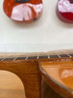 Tanglewood Smart Series Rosewood Acoustic Guitar LIMITED EDITION - Parlor shape