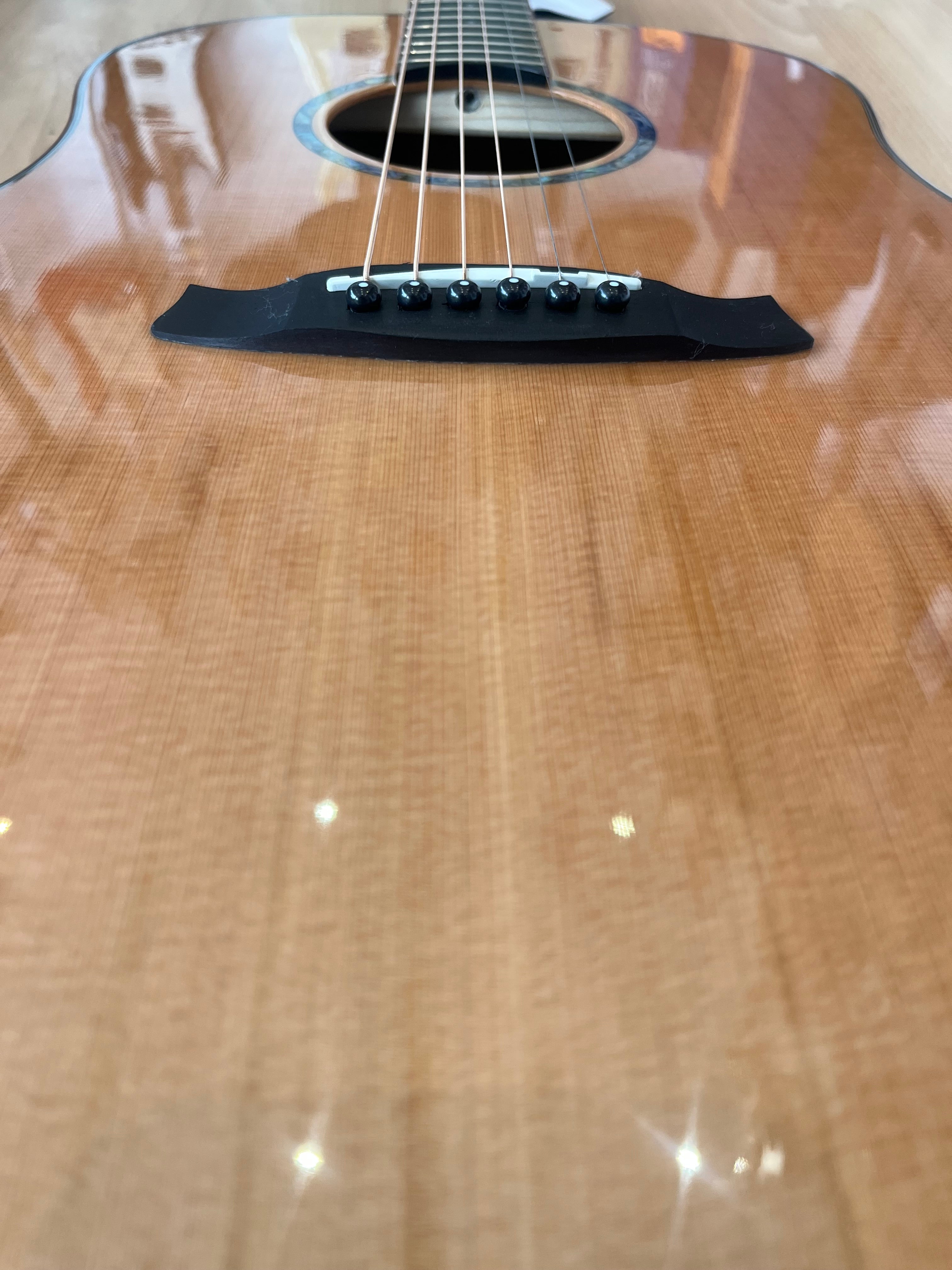 Tanglewood Smart Series Rosewood Acoustic Guitar TRS5SE