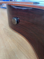 Tanglewood Smart Series Rosewood Acoustic Guitar TRS5SE