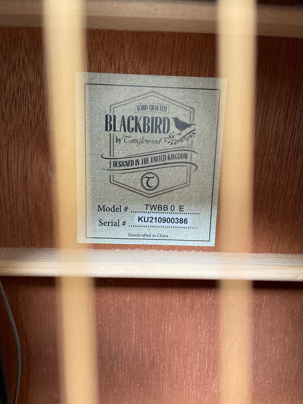 Electro - Acoustic Blackbird  by Tanglewood
