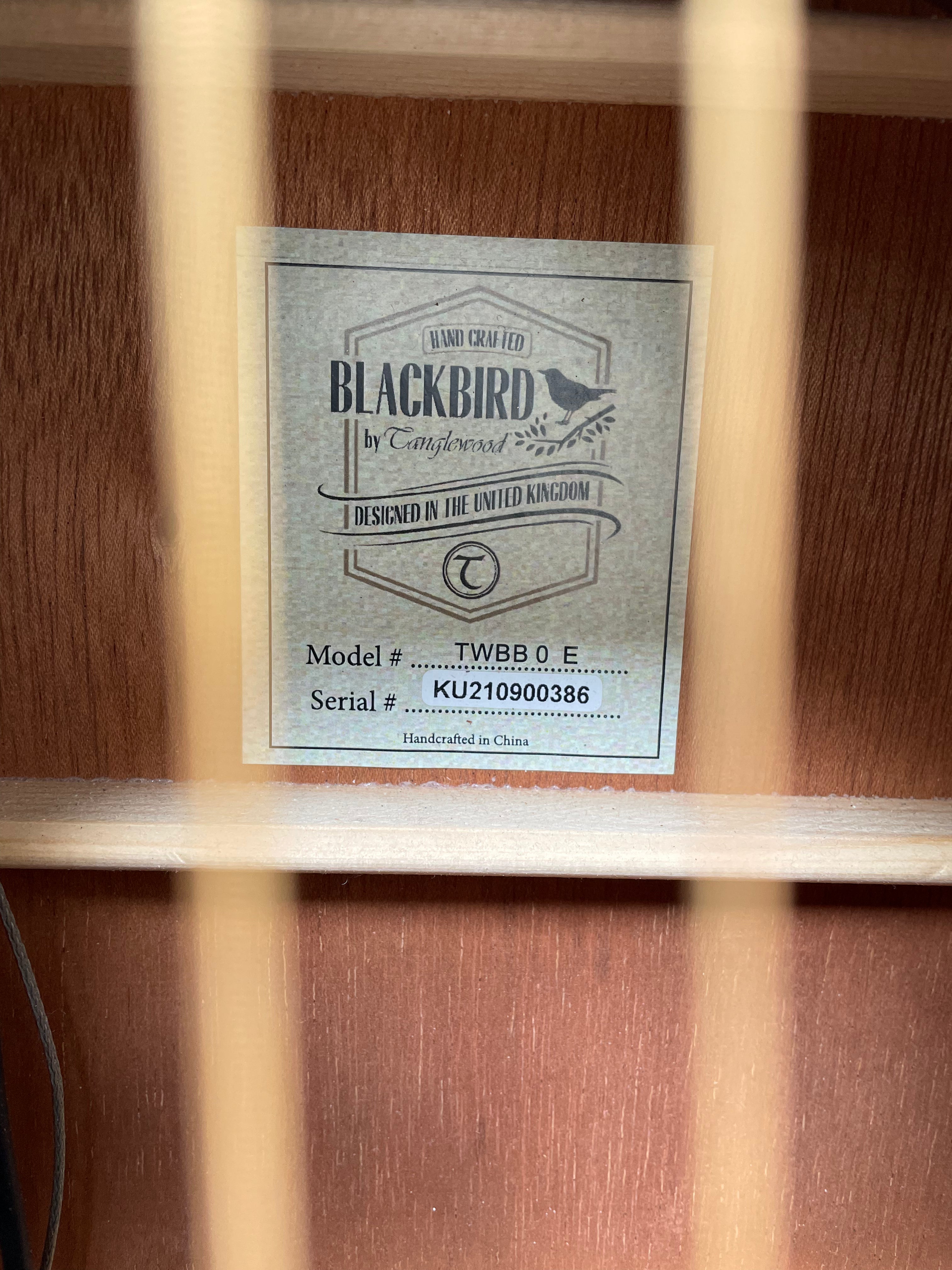 Electro - Acoustic Blackbird  by Tanglewood