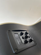 Electro - Acoustic Blackbird  by Tanglewood
