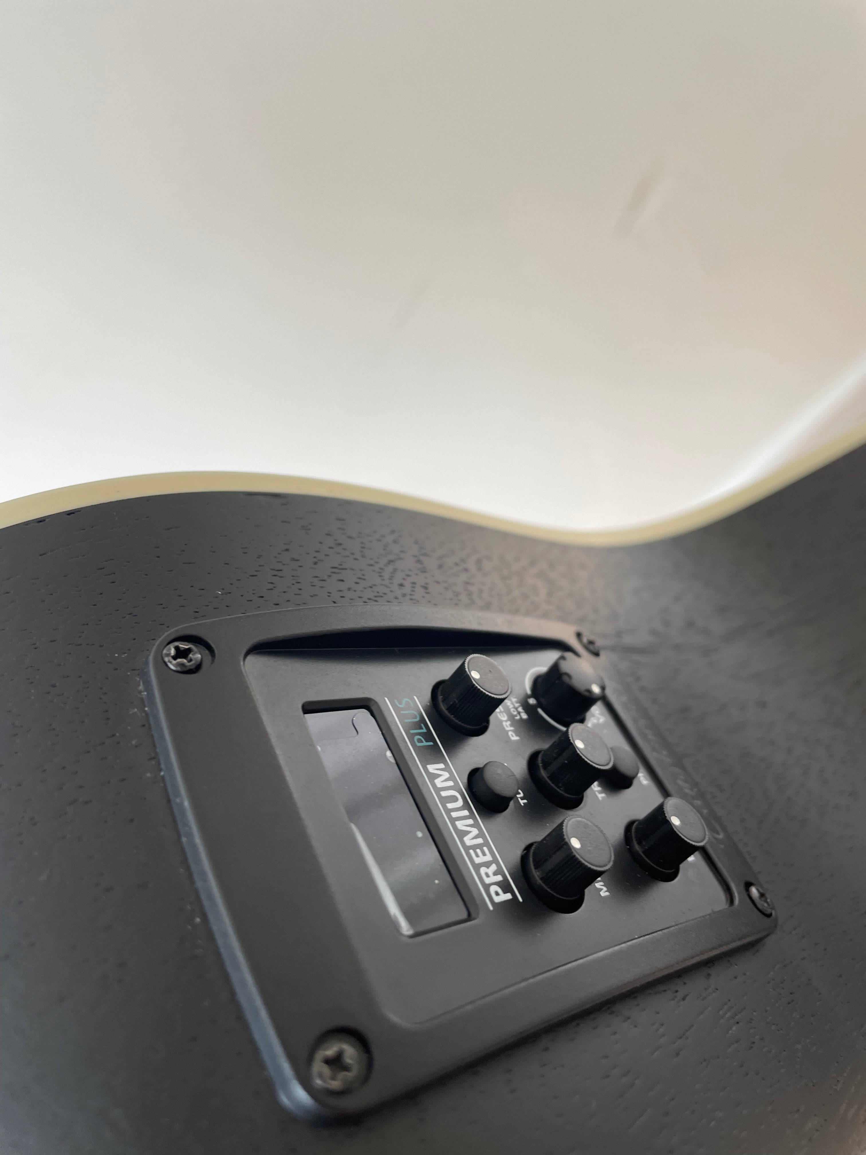 Electro - Acoustic Blackbird  by Tanglewood
