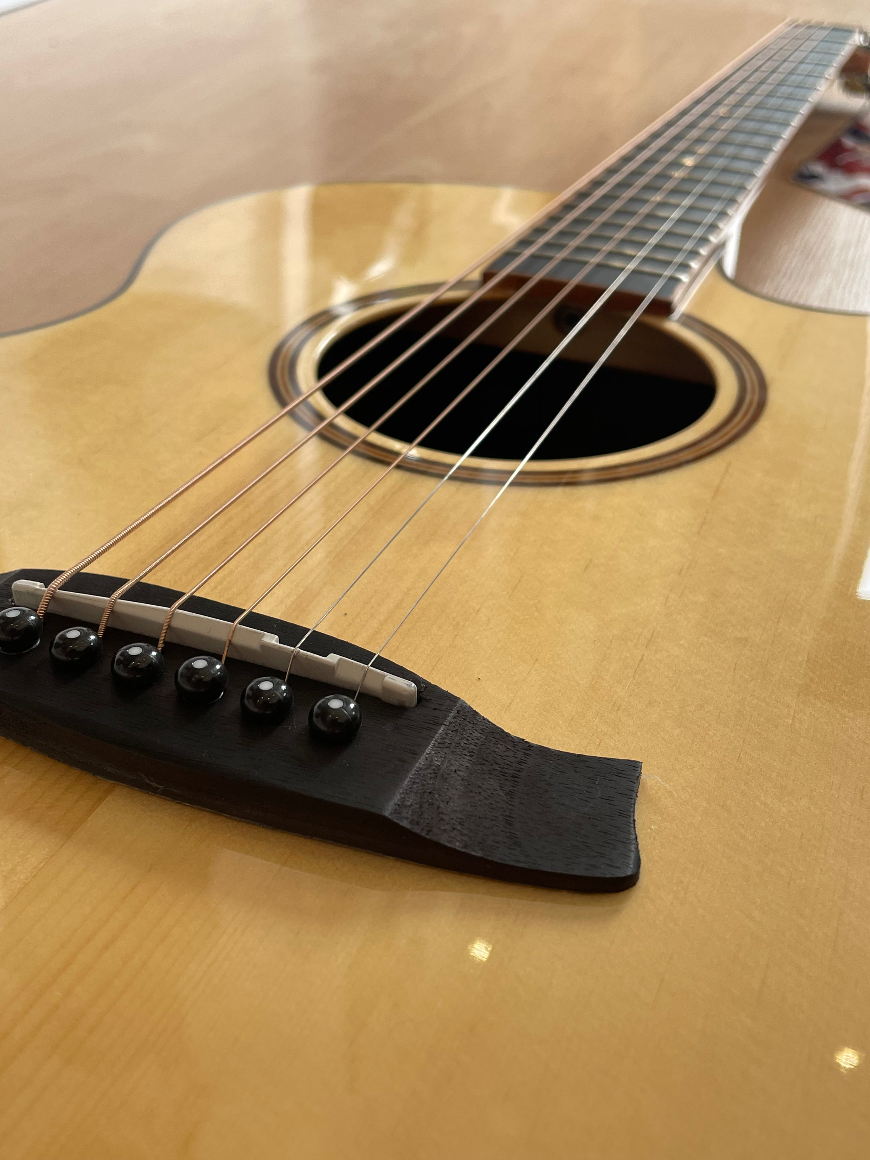 Tanglewood Java Electro Acoustic with exotic tonewoods - NEW