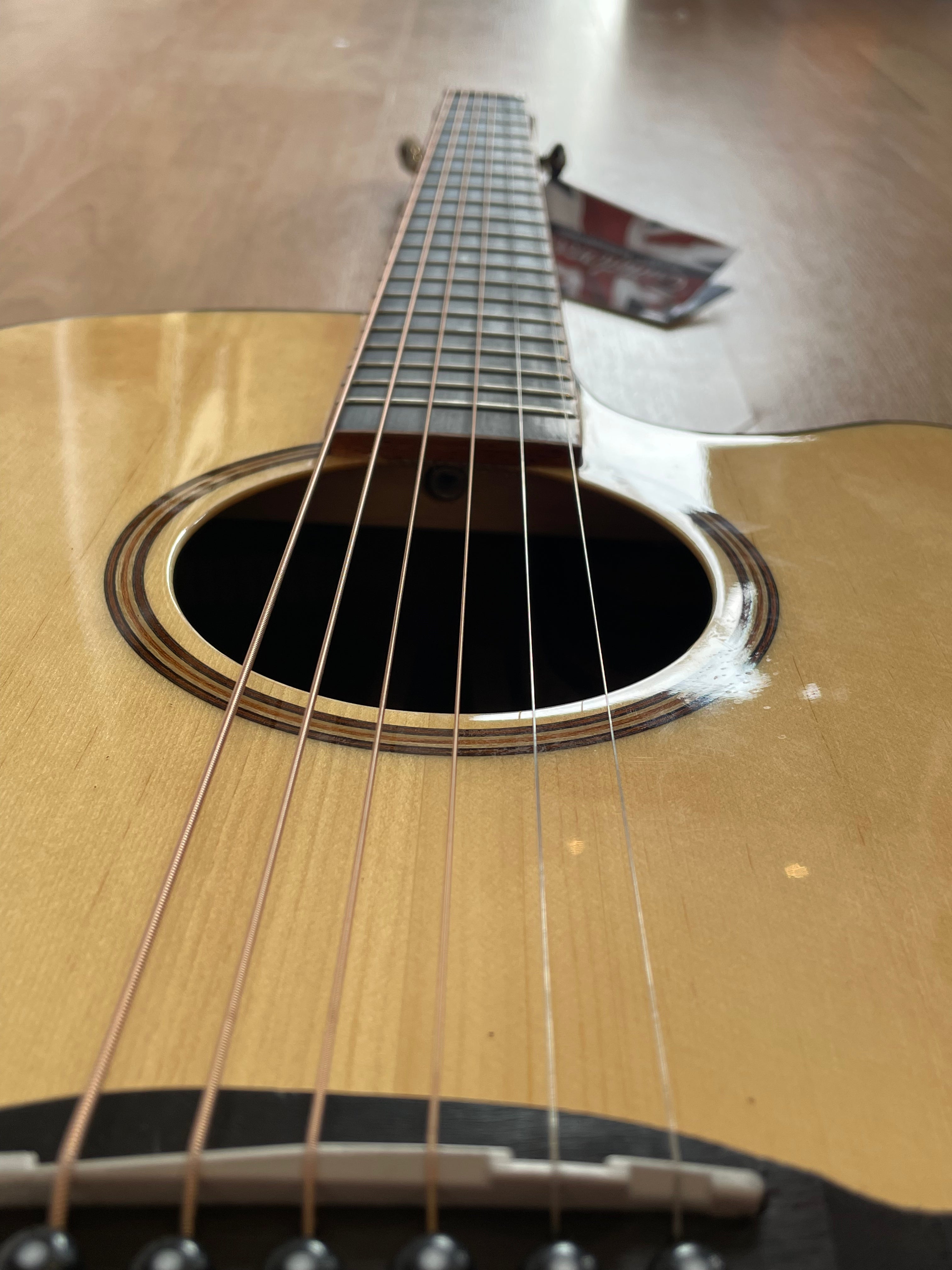 Tanglewood Java Electro Acoustic with exotic tonewoods - NEW