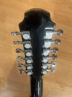 Aria 12-String Dreadnought Acoustic – Black - PLAYER GRADE