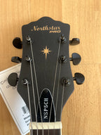 Northstar Pro Semi Acoustic All Mahogany - Cherry Colour