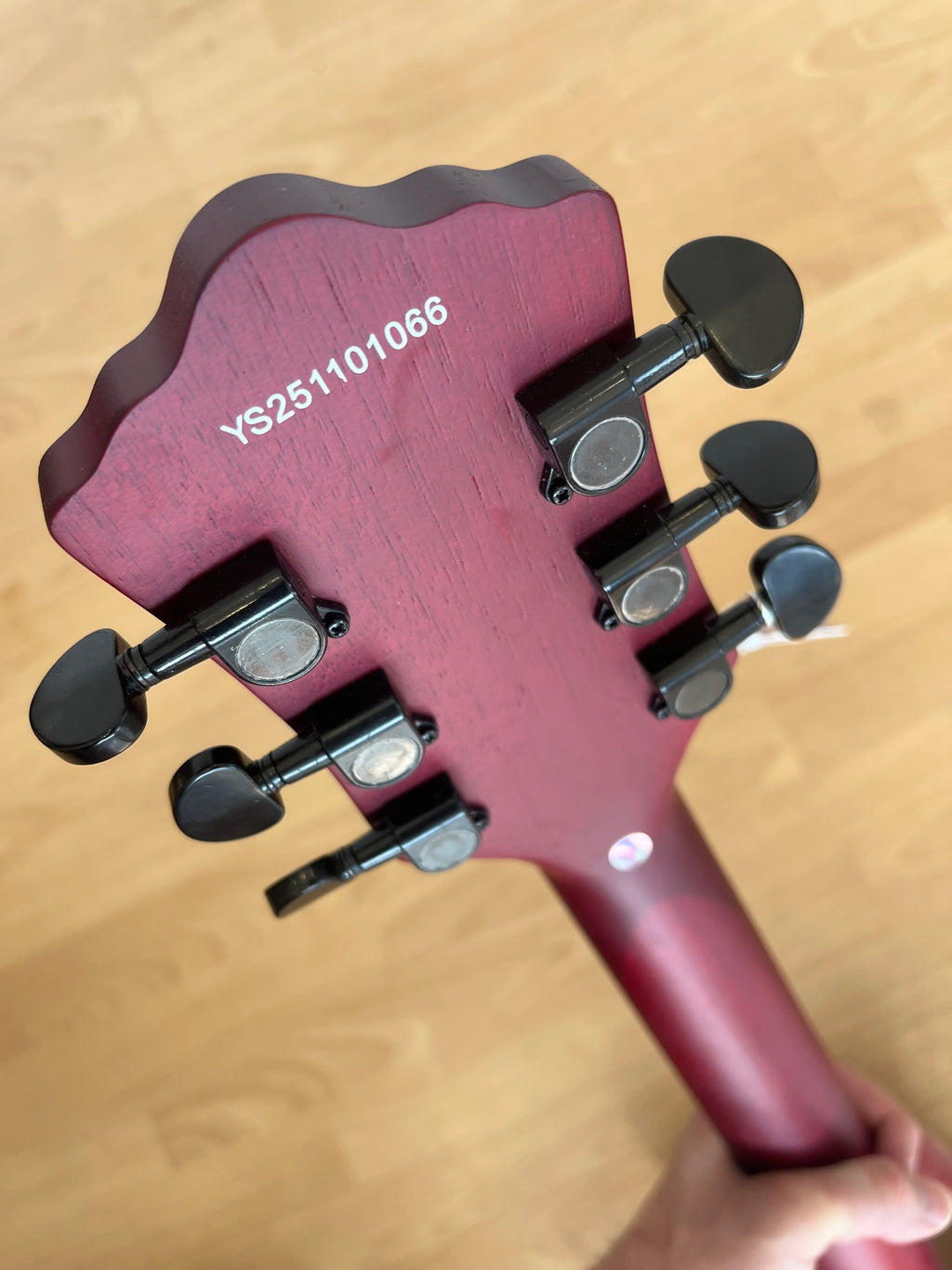 Northstar Pro Semi Acoustic All Mahogany - Cherry Colour