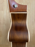 ACOUSTIC GUITAR REUNION PRO - Solid Spruce top with Black Walnut