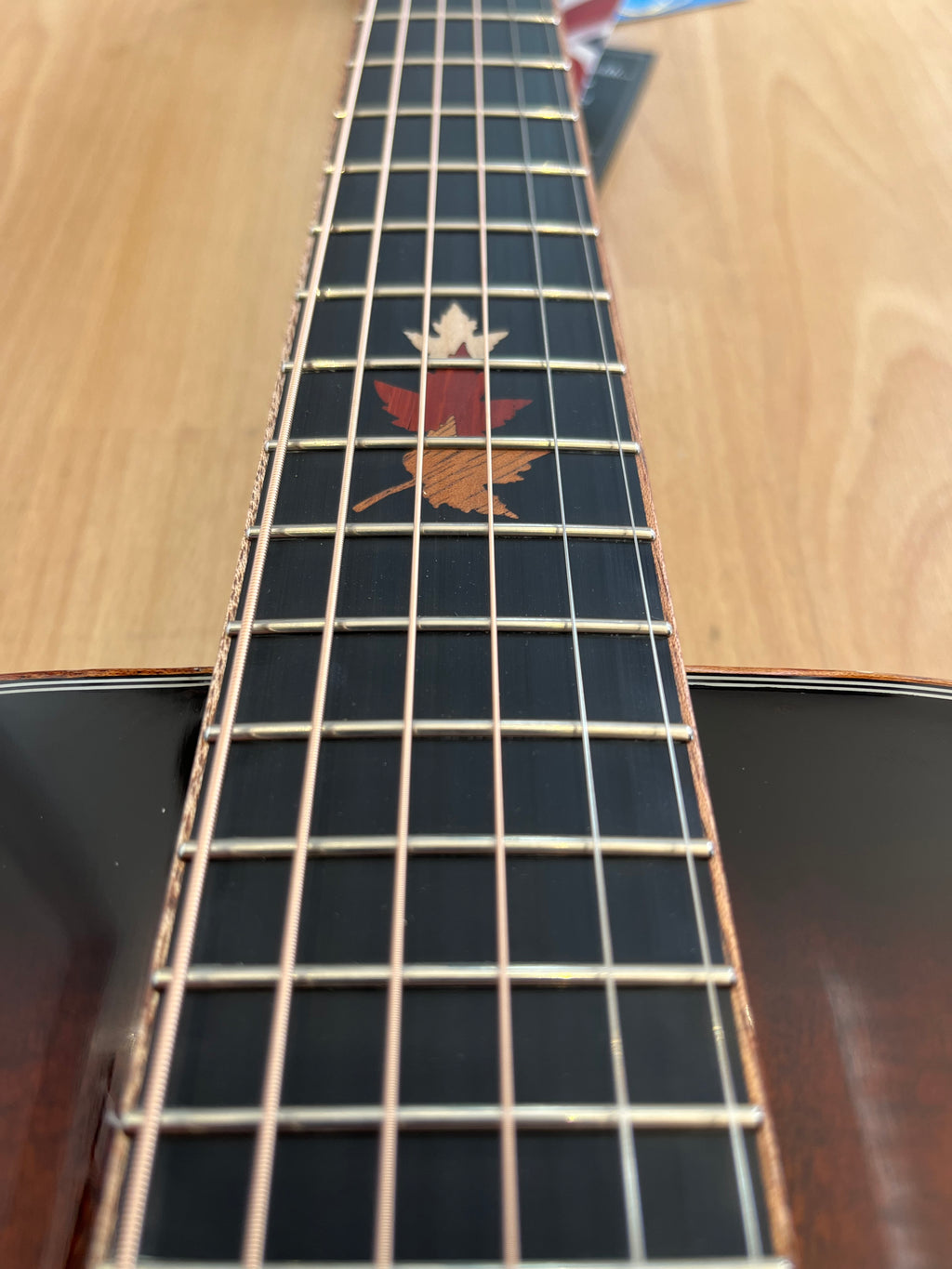 Winterleaf Exotic acoustic guitar - mini size - comfort and convenience!