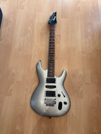 Ibanez Ergodyne in Metallic Silver - Great Condition