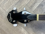 Ozark Banjo - GREAT CONDITION