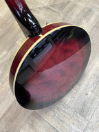 Ozark Banjo - GREAT CONDITION