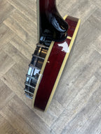 Ozark Banjo - GREAT CONDITION