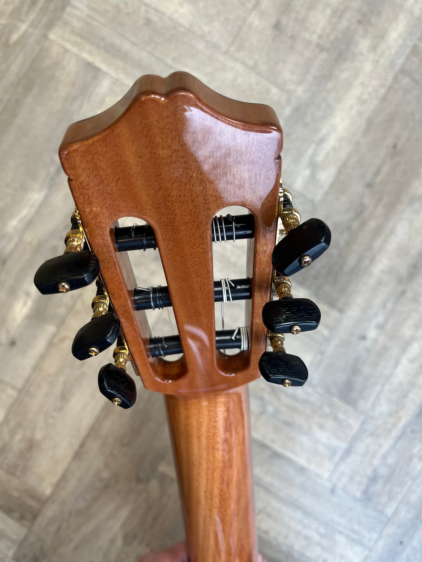 MINT CONDITION Cordoba Classical Guitar F7