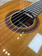 Cordoba Classical C5 Guitar