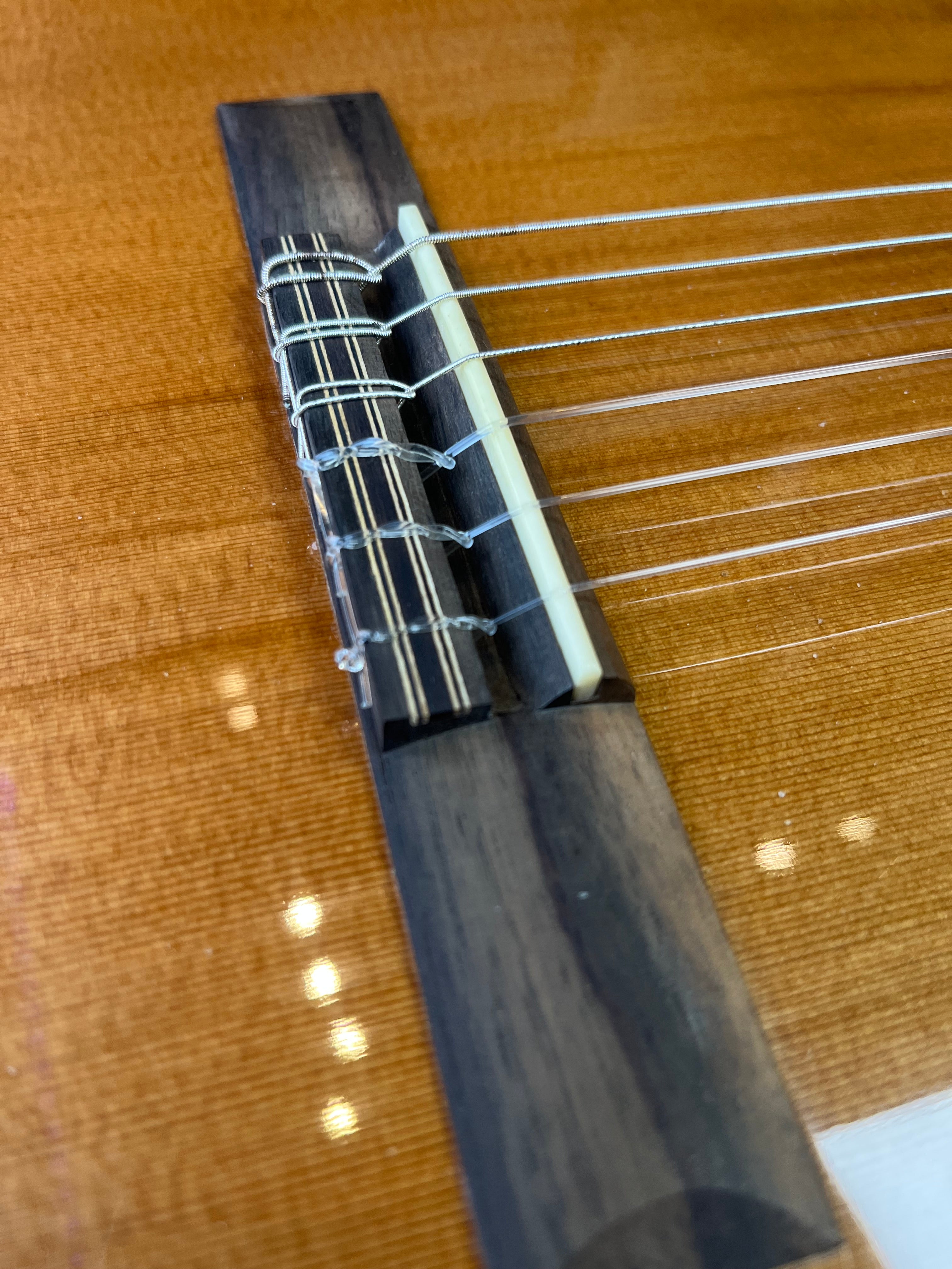 Cordoba Classical C5 Guitar