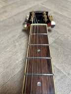 Westfield Semi-Acoustic Guitar – ES-335 Style