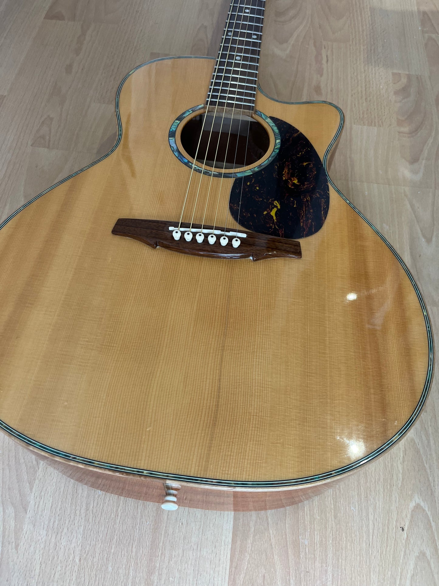 J Fisher & Co Acoustic Cutaway