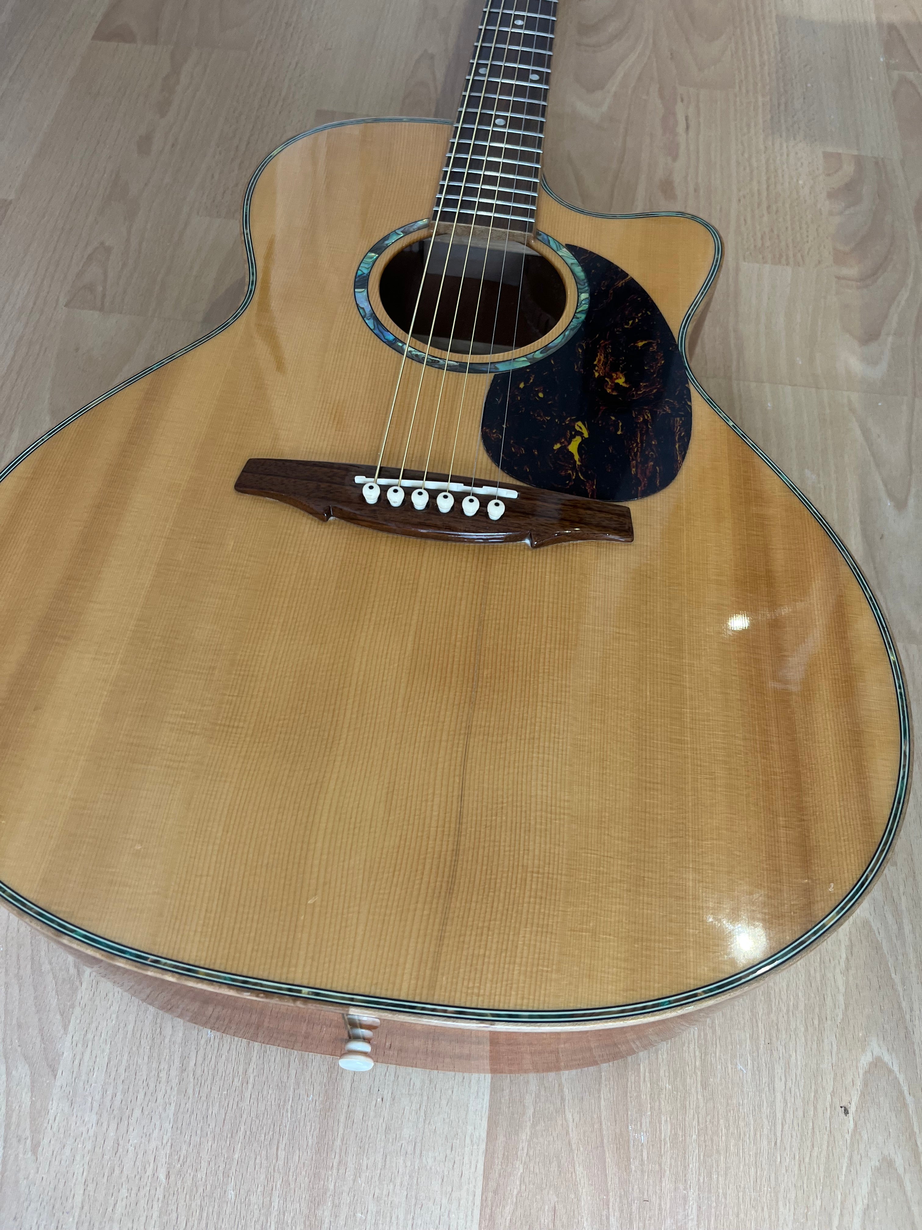 J Fisher & Co Acoustic Cutaway