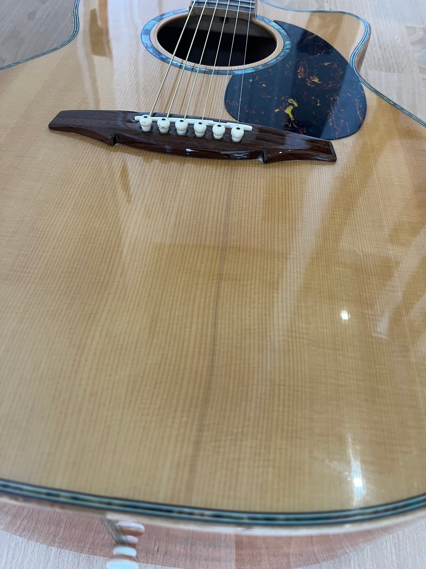 J Fisher & Co Acoustic Cutaway