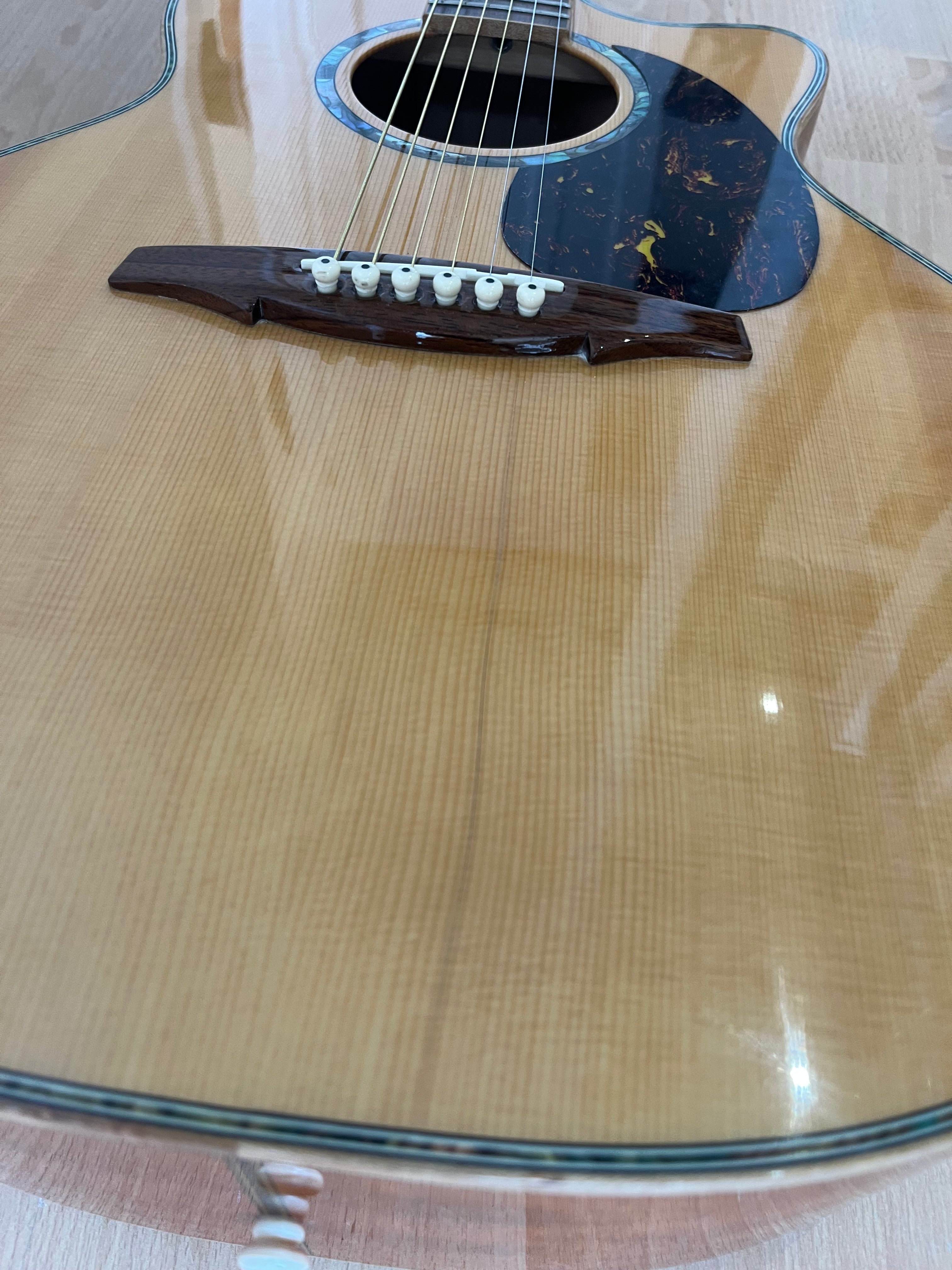 J Fisher & Co Acoustic Cutaway