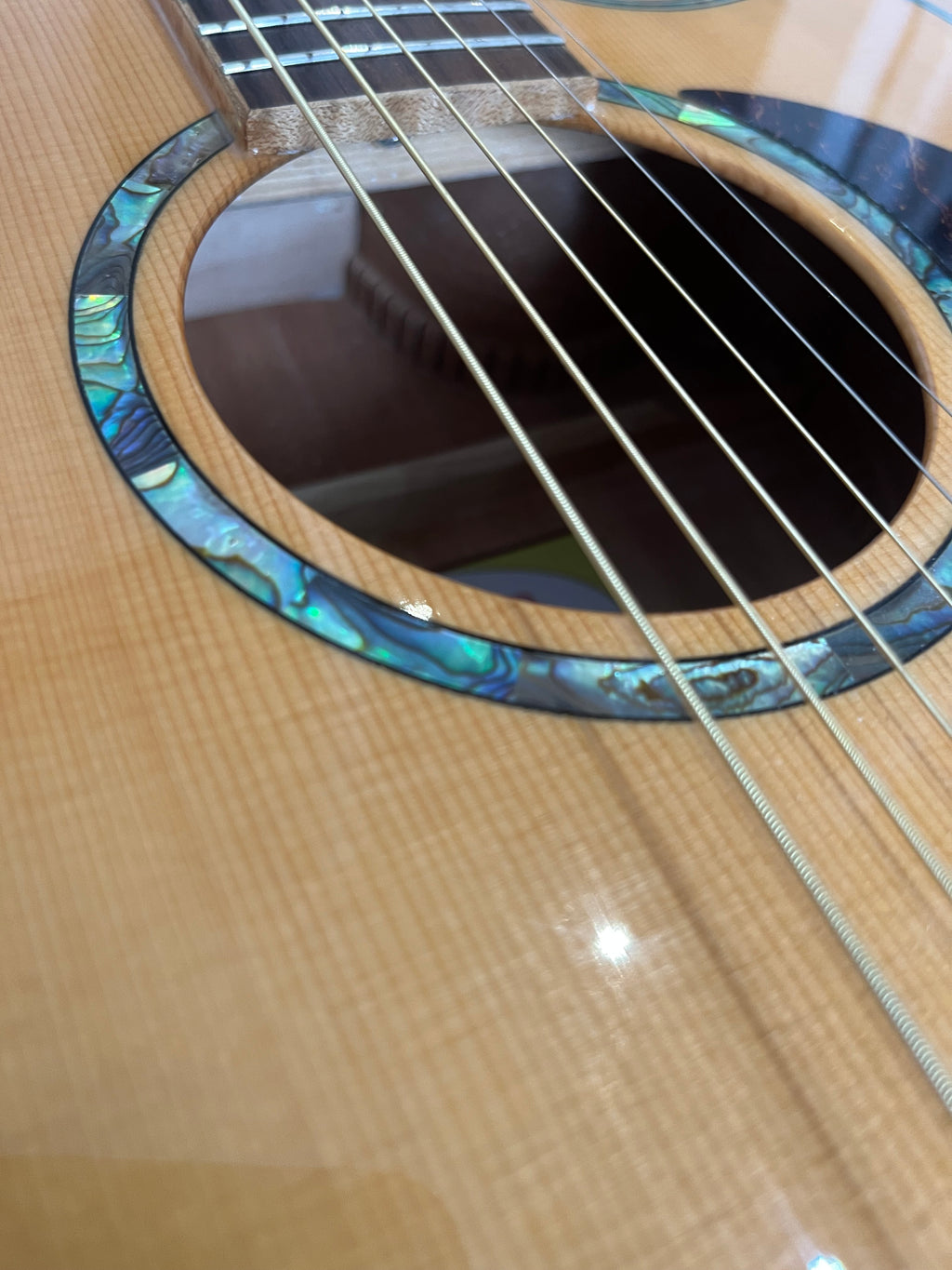 J Fisher & Co Acoustic Cutaway