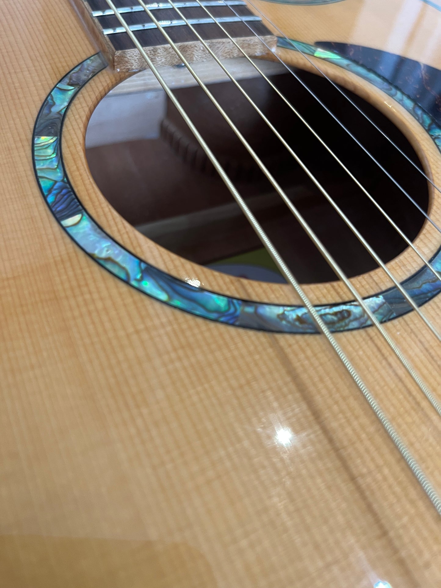 J Fisher & Co Acoustic Cutaway