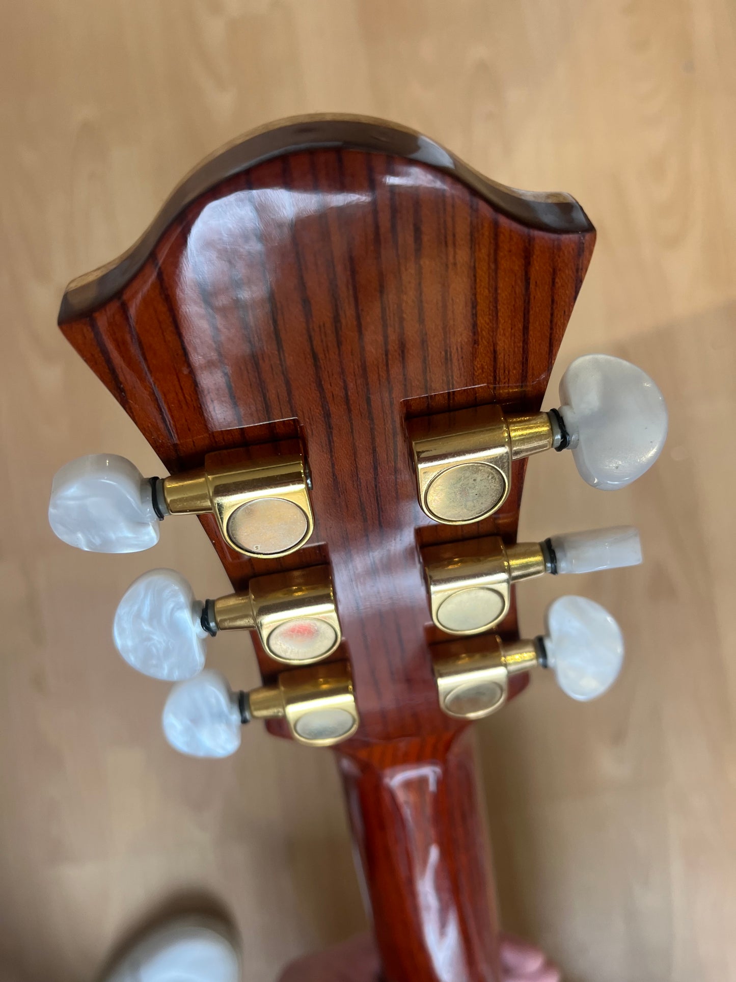 J Fisher & Co Acoustic Cutaway