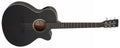 The Blackbird TB4CE