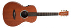 ACOUSTIC GUITAR ELEMENTAL PARLOUR