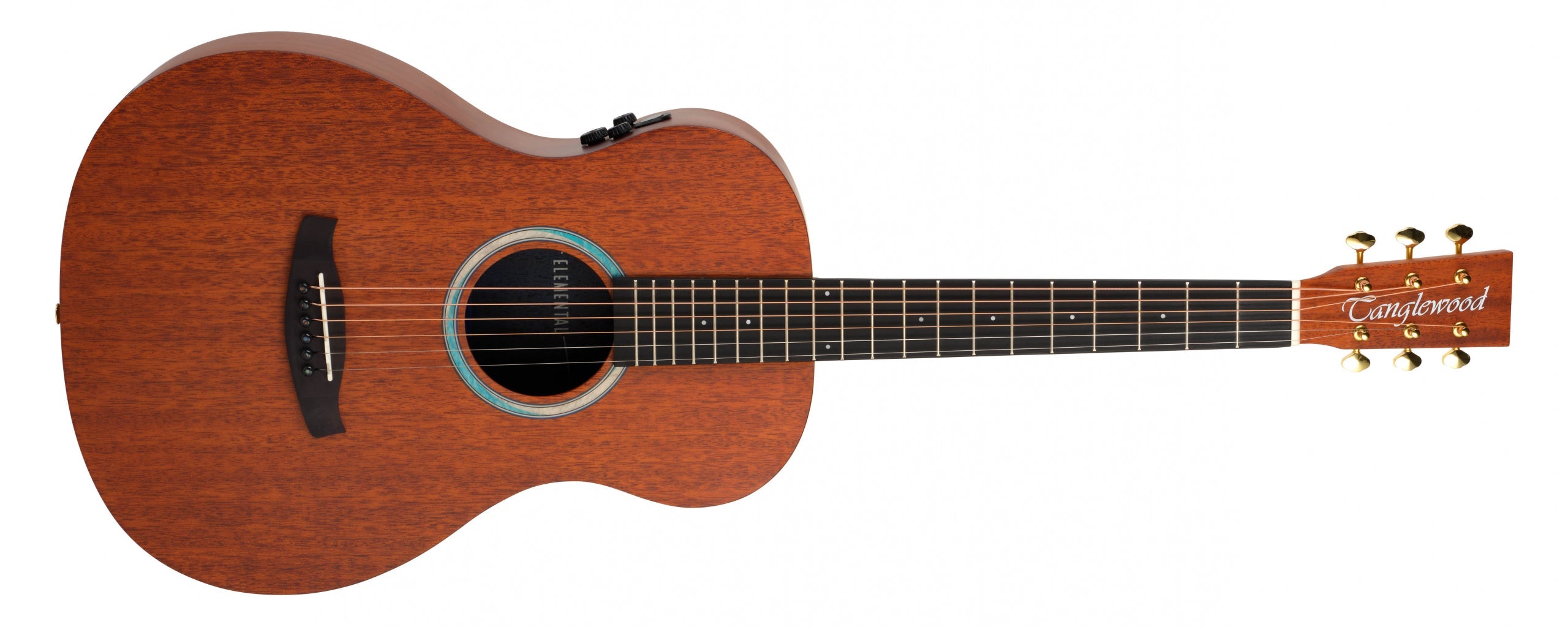ACOUSTIC GUITAR ELEMENTAL PARLOUR